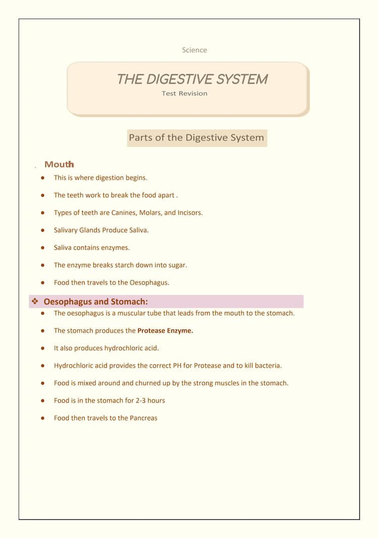 Know The Digestive System - Notes  thumbnail