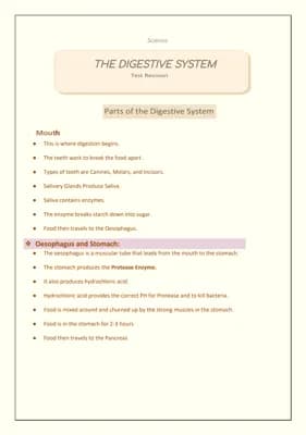 Know The Digestive System - Notes  thumbnail