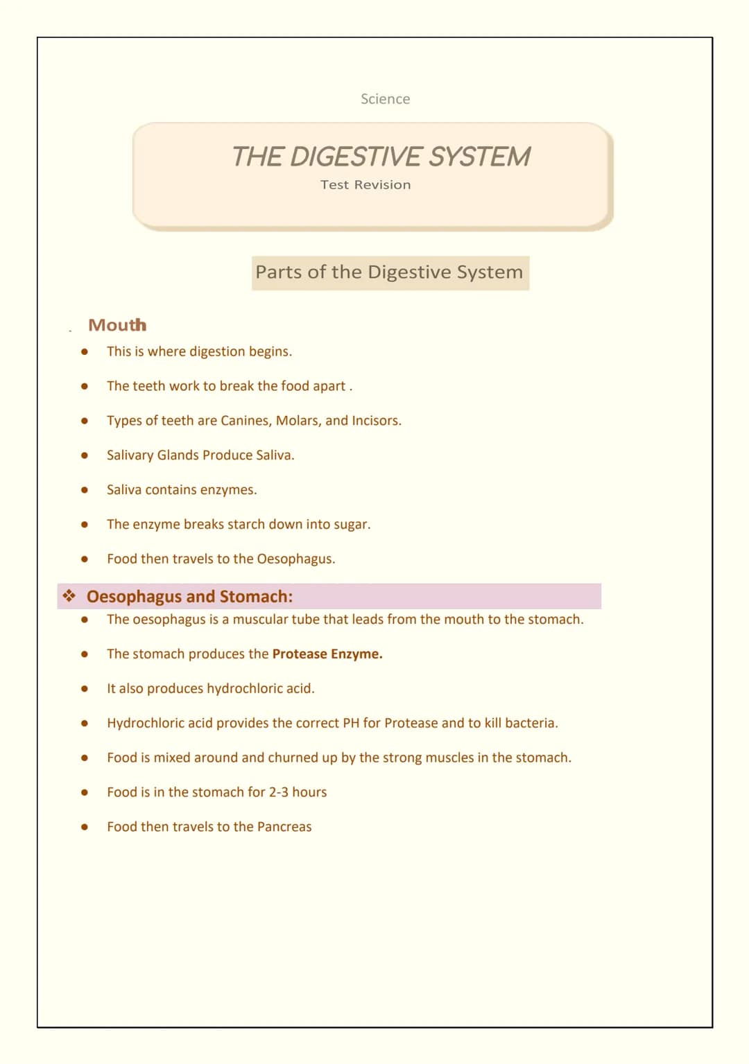 Mouth
●
●
●
●
●
THE DIGESTIVE SYSTEM
Science
Oesophagus and Stomach:
The oesophagus is a muscular tube that leads from the mouth to the stom