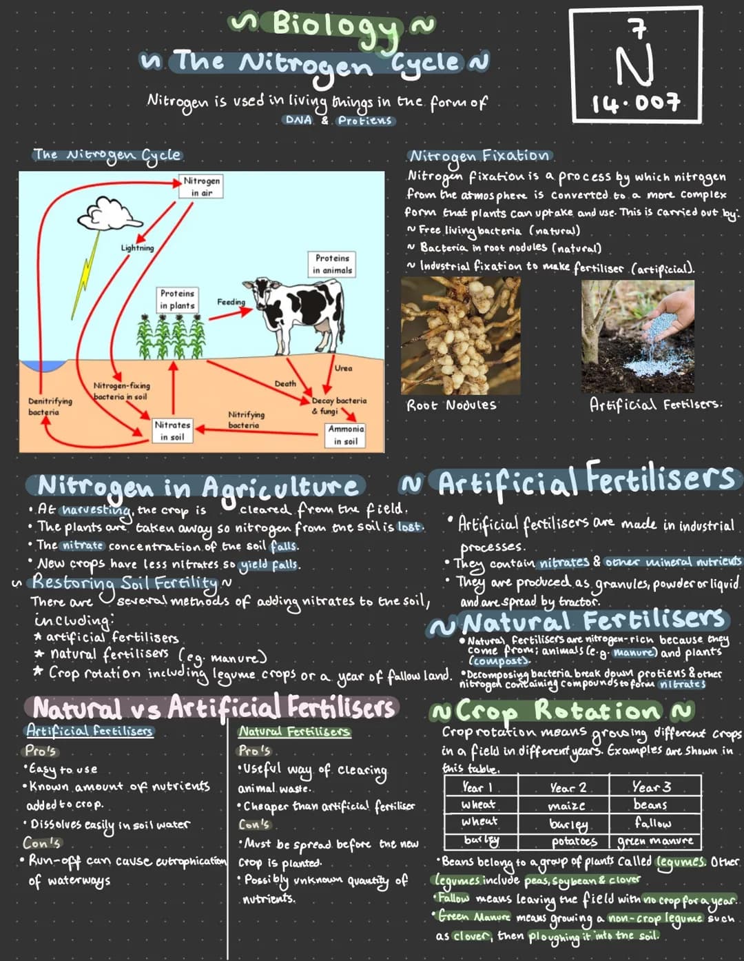 ✔ Biology.
in The Nitrogen Cycle N
Nitrogen is used in living things in the form of
DNA & Protiens
The Nitrogen Cycle
Denitrifying
bacteria
