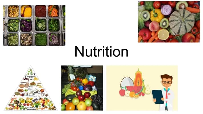 Know Nutrition  thumbnail