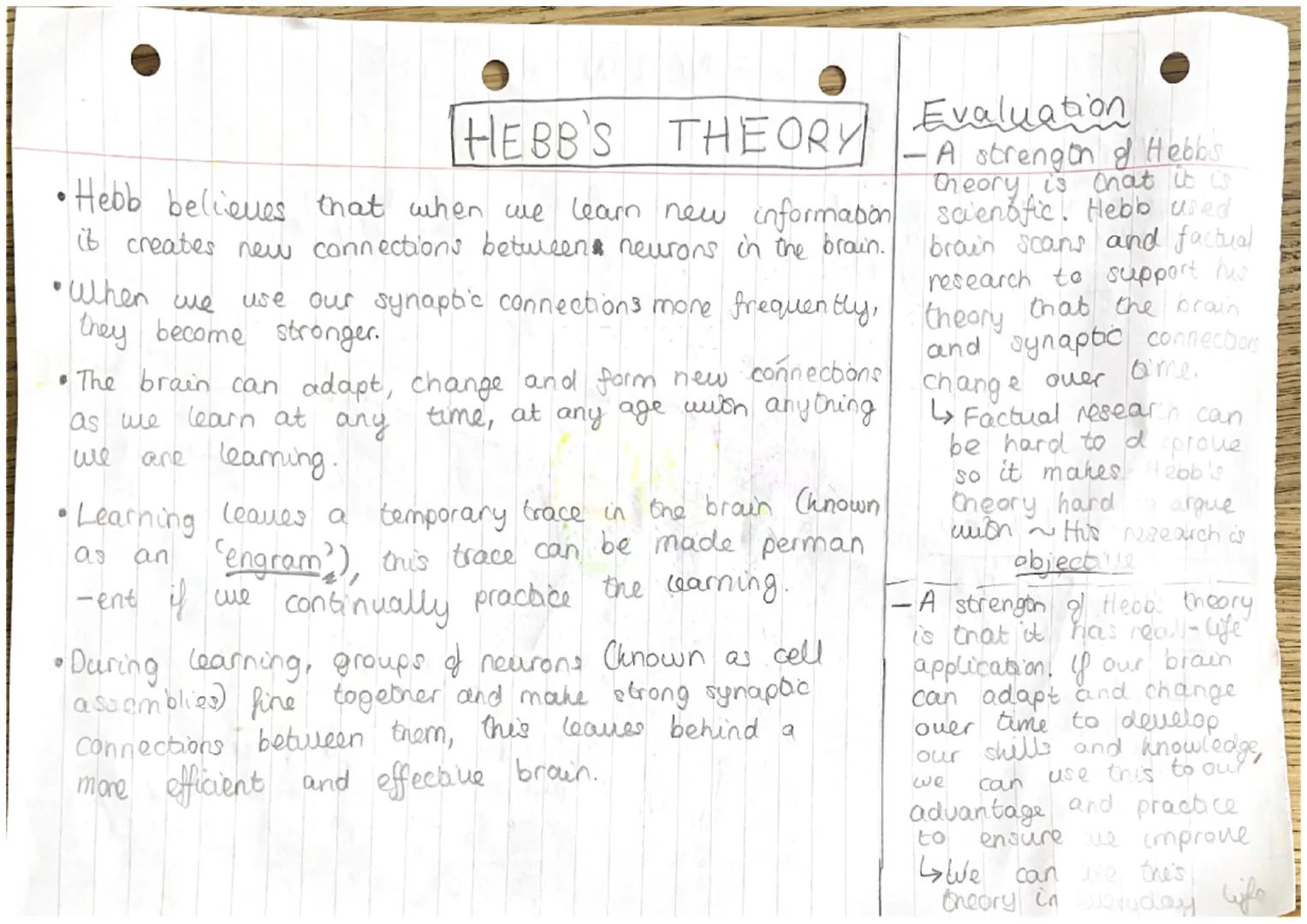 Dendrites
carry electrical NEURONS.
Signals to
nearby neurons
Nucleus
Contains
genetic (ONA)
material
Soma
Carries the
nucleus
Myelin Sheath