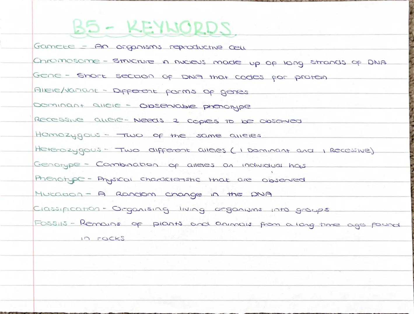 B5 - KEYWORDS.

Gamete - An organisms reproductive cell

Ohromosome - Structure in nucieus made up of long strands OP DNA

Gene - Short seca