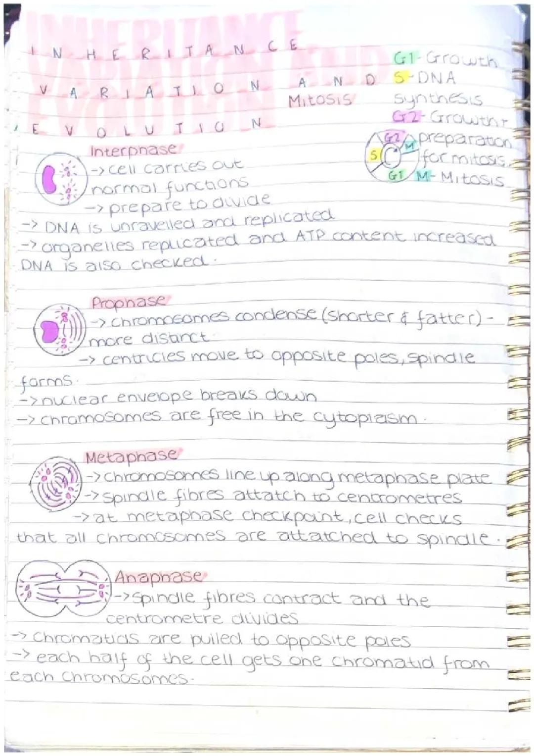 Interitance, Variation and Evolution 