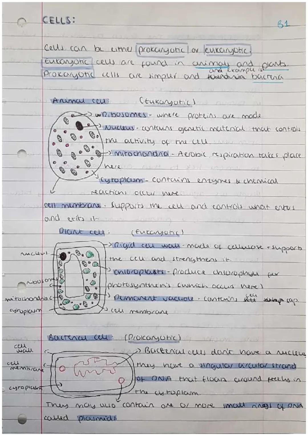 GCSE Biology Notes - B1 Paper 1 Revision for AQA Combined Science Higher Tier