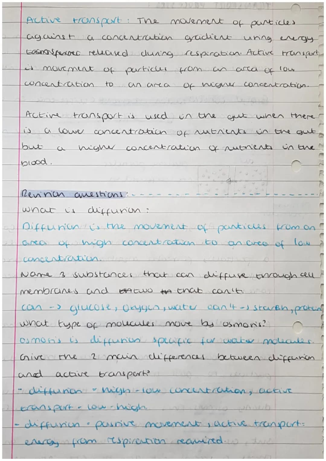 
<h2 id="cells">Cells</h2>
<p>Cells can be either prokaryotic or eukaryotic. Eukaryotic cells are found in animals and plants. Prokaryotic c