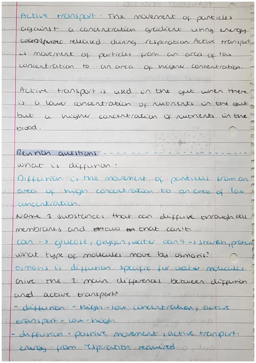 
<h2 id="cells">Cells</h2>
<p>Cells can be either prokaryotic or eukaryotic. Eukaryotic cells are found in animals and plants. Prokaryotic c