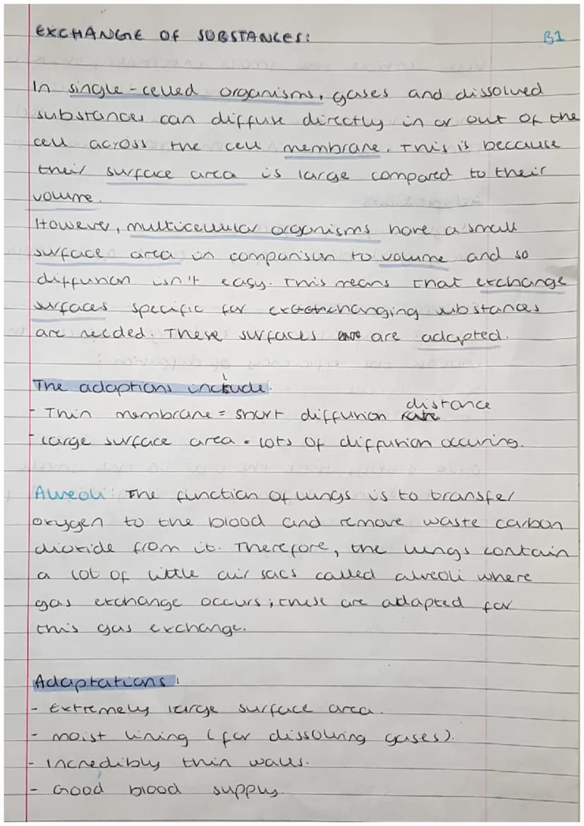 
<h2 id="cells">Cells</h2>
<p>Cells can be either prokaryotic or eukaryotic. Eukaryotic cells are found in animals and plants. Prokaryotic c