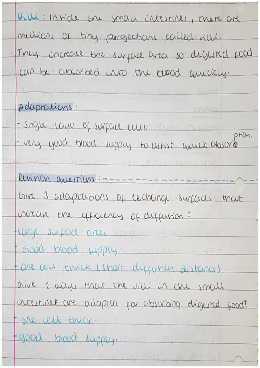 
<h2 id="cells">Cells</h2>
<p>Cells can be either prokaryotic or eukaryotic. Eukaryotic cells are found in animals and plants. Prokaryotic c