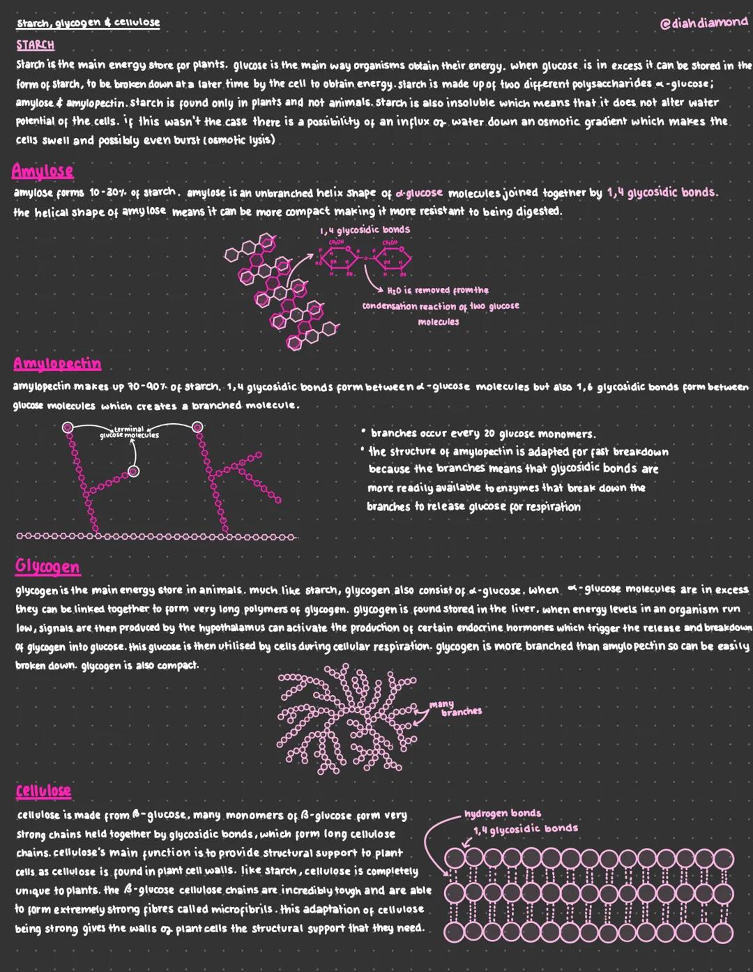 Starch, glycogen & cellulose