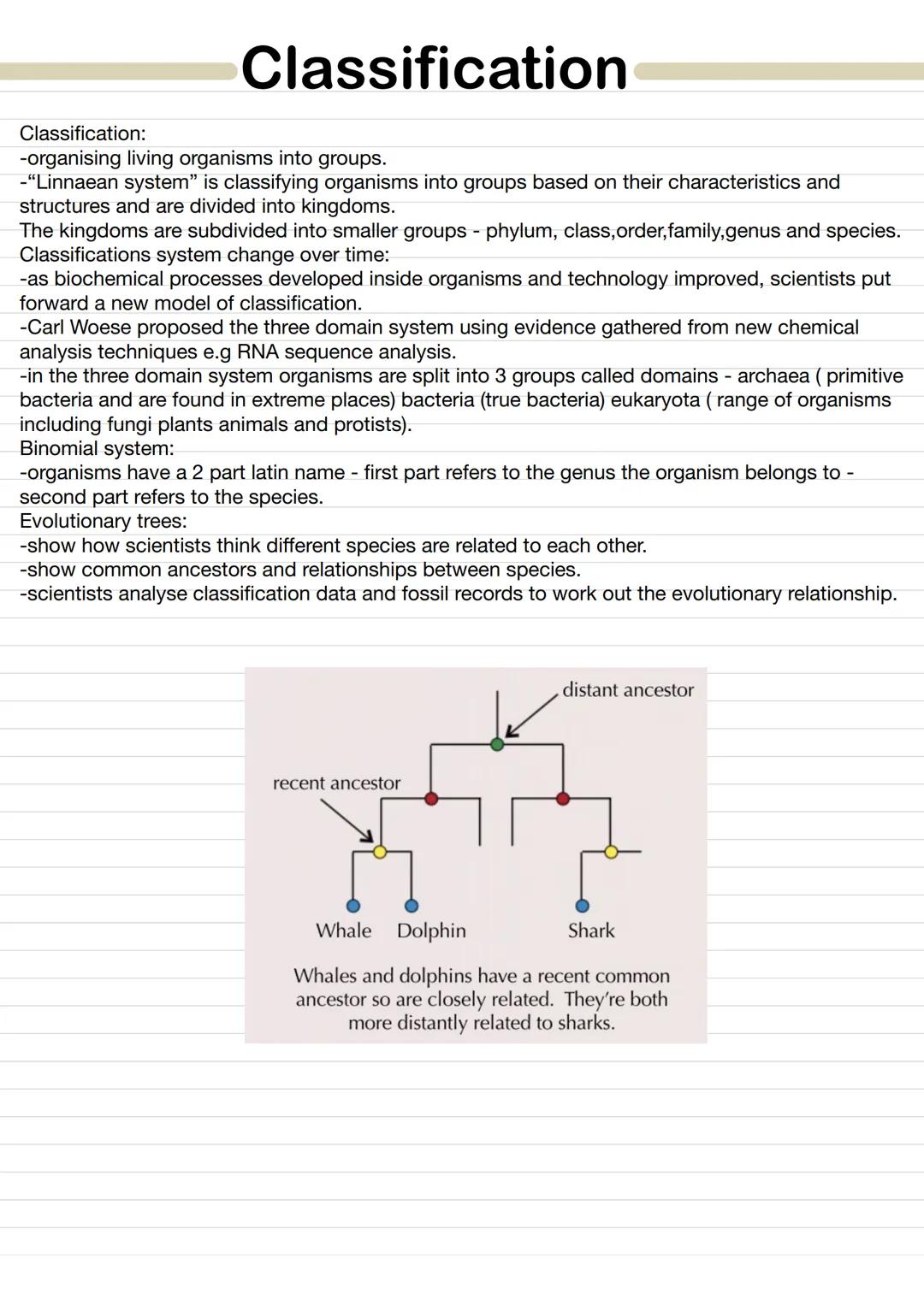 關 Homeostasis
Homeostasis - is keeping a stable internal environment so cells have the right conditions to function
and have the right condi