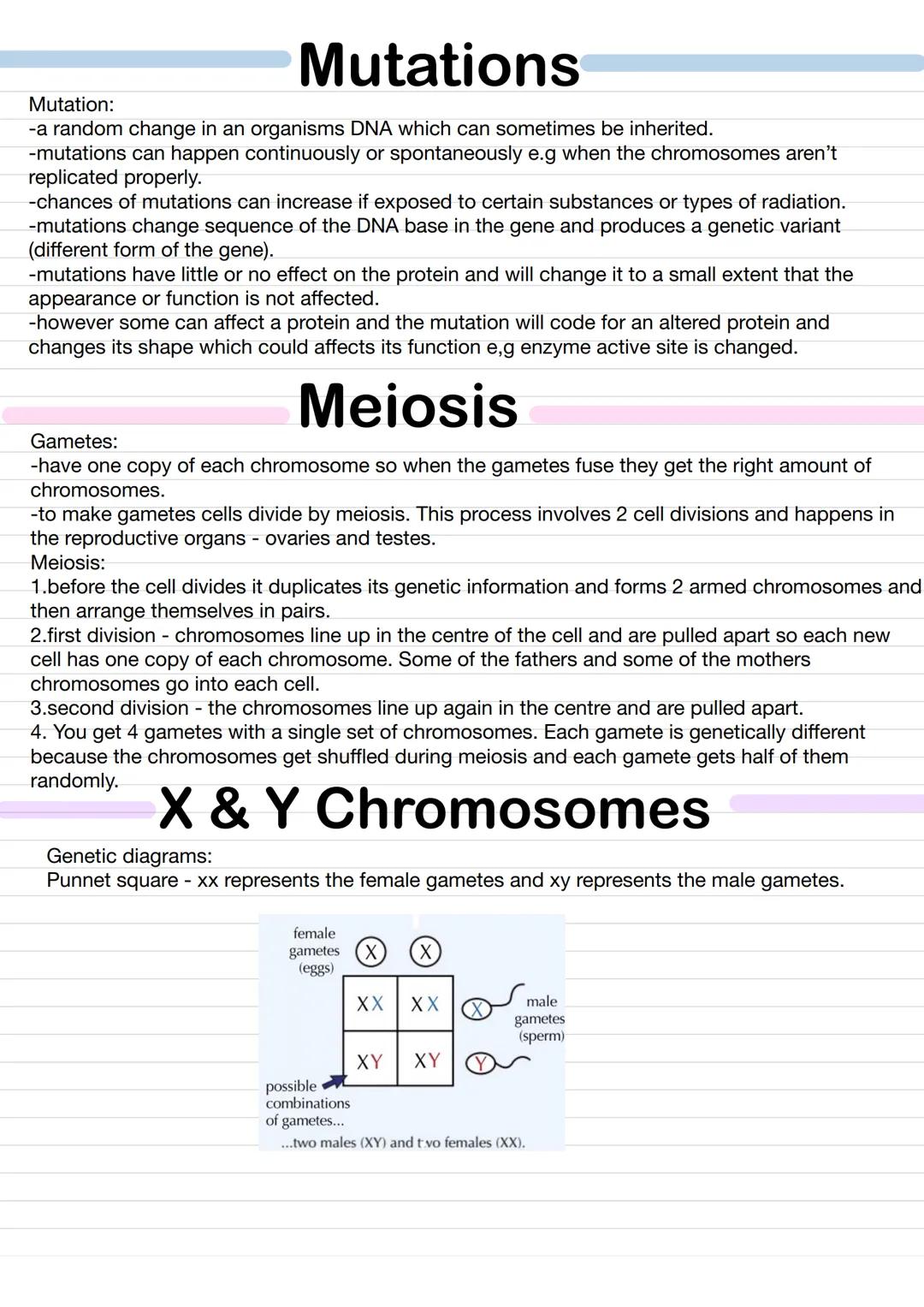 關 Homeostasis
Homeostasis - is keeping a stable internal environment so cells have the right conditions to function
and have the right condi