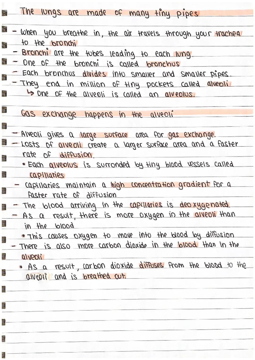 coronary heart disease
The heart pumps Oxygenated
and deoxygeneted blood.
Pulmonary
Valve
-
Tricuspid Valve
Vena Cava
!
Right
Atrium
Vena Ca