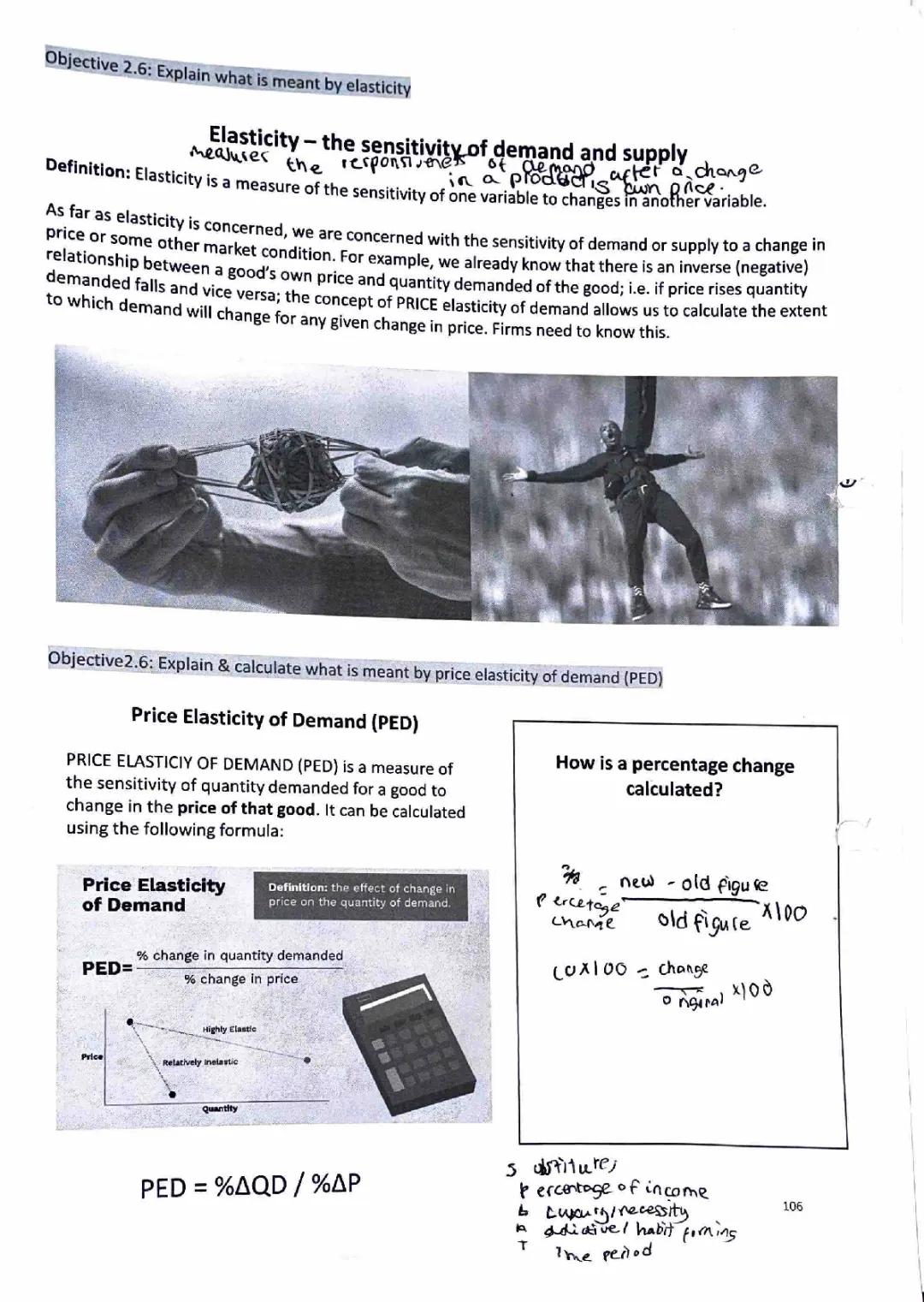 All About Price Elasticity of Demand: Fun Examples and Easy Explanations!