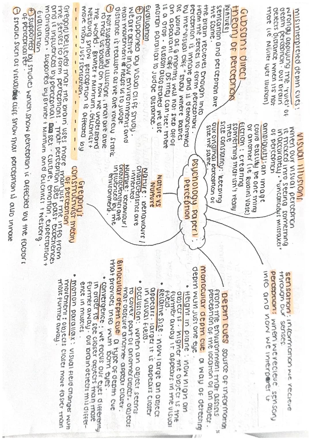 PERCEPTION GCSE PSYCHOLOGY PAPER 1 AQA