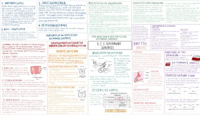 Know OCR Biology A - 3.1.1 - Exchange Surfaces  thumbnail