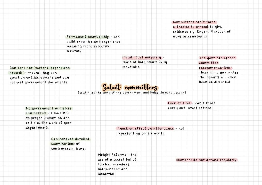 What are Select Committees and Why is Government Watching?