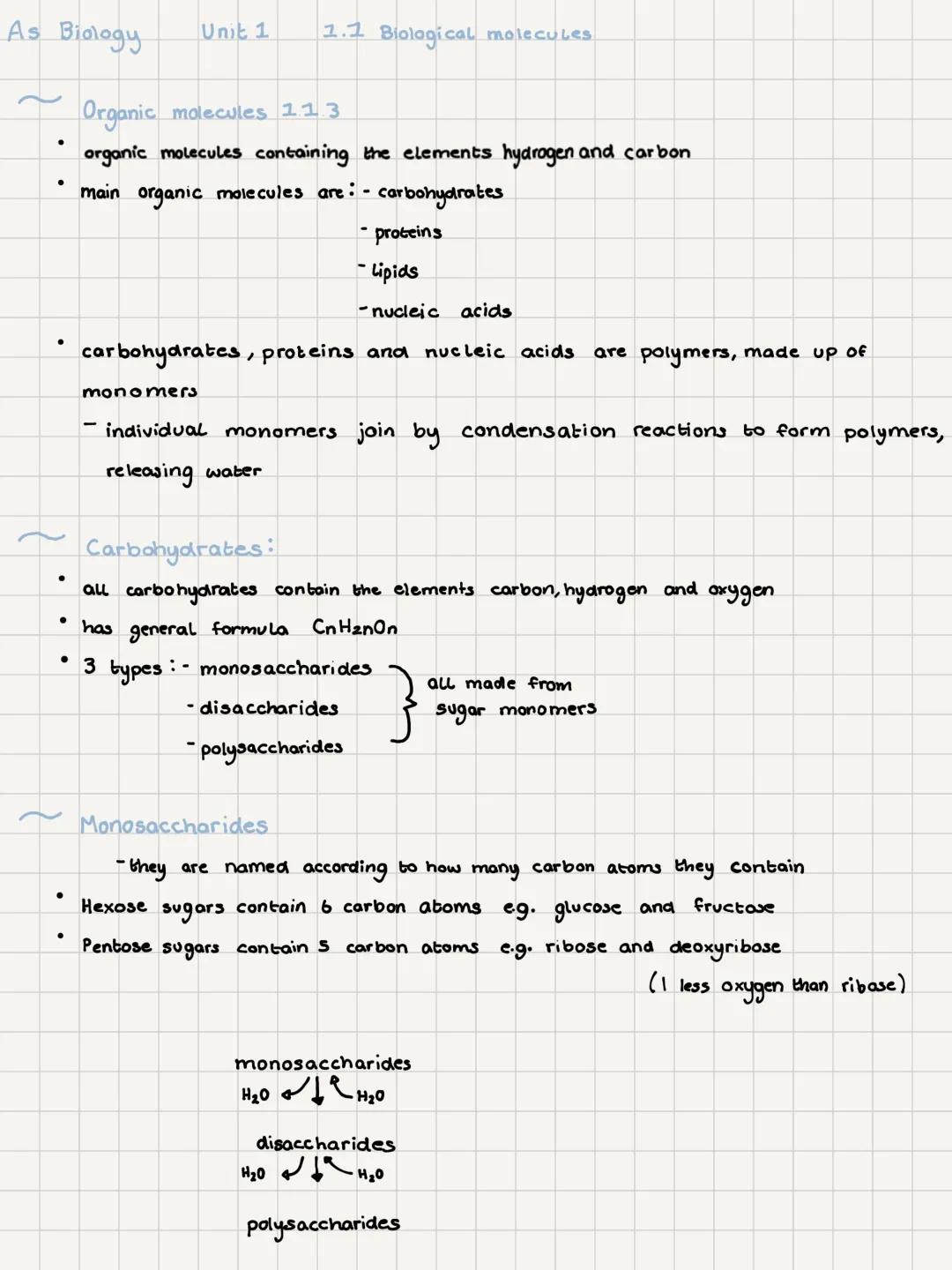 1.1 biological molecules