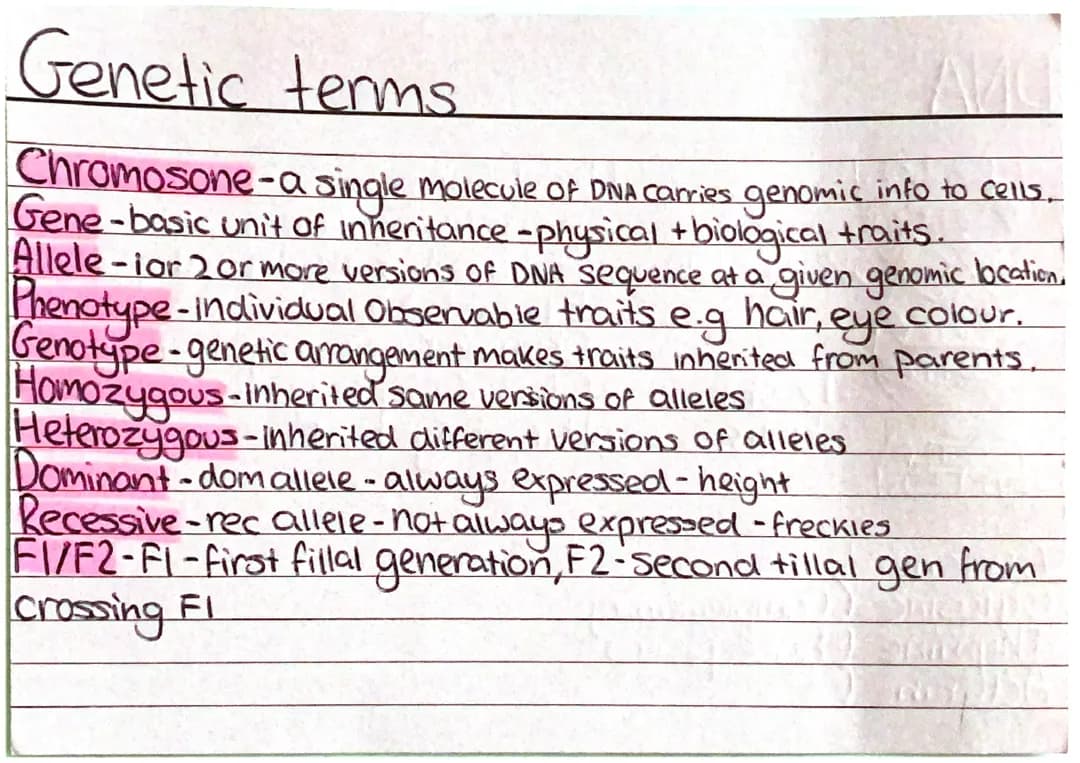 Homeostasis & Biology Unit 2 Notes PDF for GCSE and A-Level
