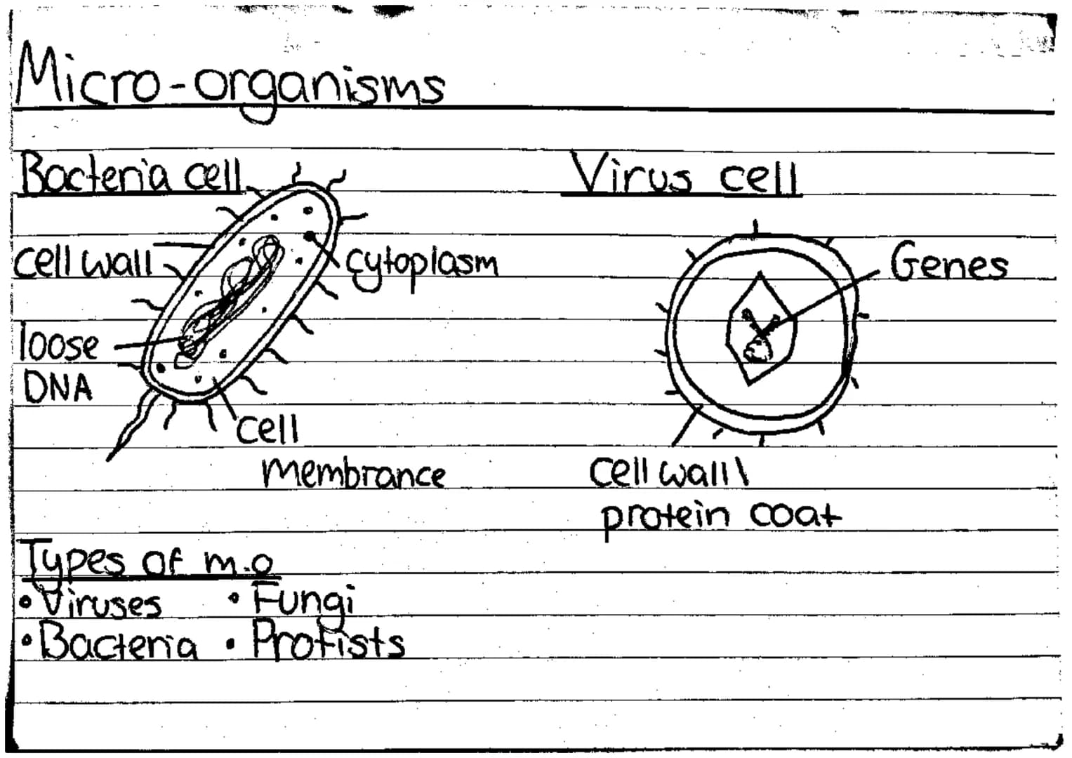 Genetic terms
colour.
Chromosone-a single molecule of DNA carries genomic info to cells.
Gene-basic unit of inheritance - physical + biologi