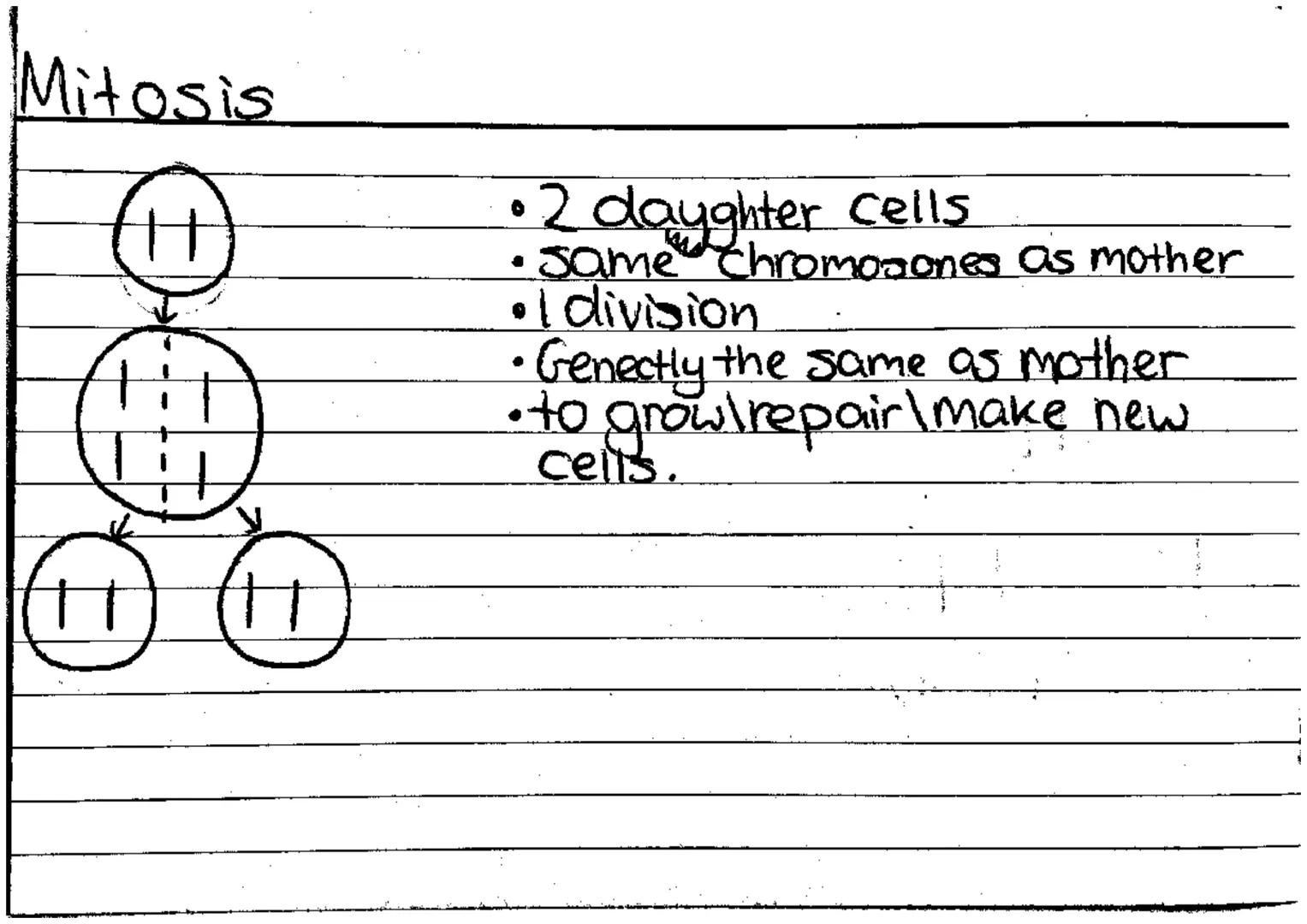 Genetic terms
colour.
Chromosone-a single molecule of DNA carries genomic info to cells.
Gene-basic unit of inheritance - physical + biologi