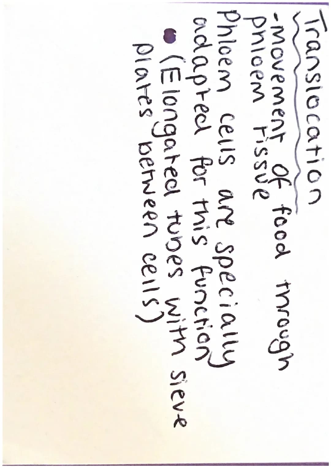 Plant Structure
upper
epidermis-[
Palisade
mesophy!
Spongy
mesophy
air
space
guard cells with
jchloroplasts
lower
epidermis OOQ O D O o
Stom