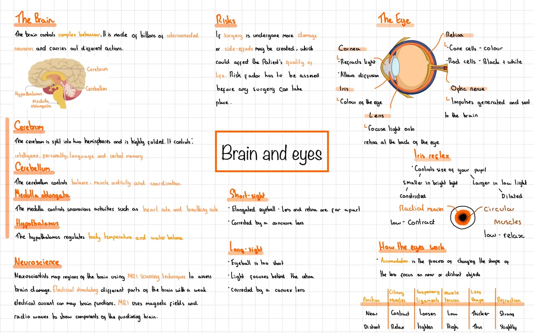 The Brain
The brain controls complex behaviour. It is made billions
of
of
neurones and carries out different actions.
Hypothalamus
Medulla
o