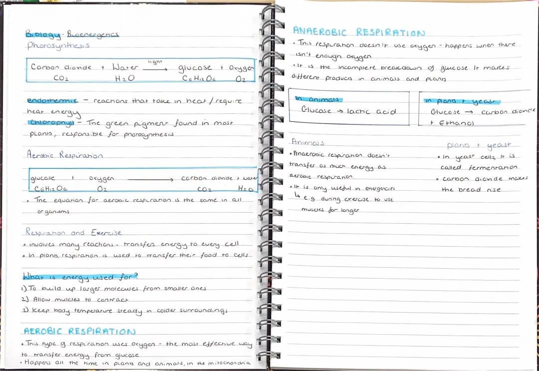 Biology - photosynthesis + respiration and exercise 