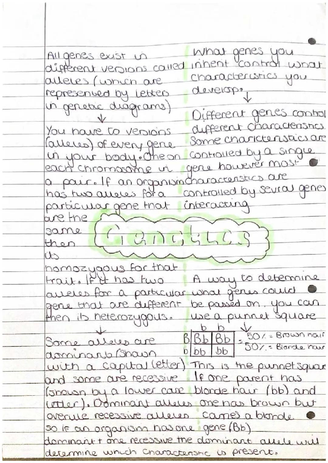 Understanding Genetics: Genetic Diagrams and Alleles Explained