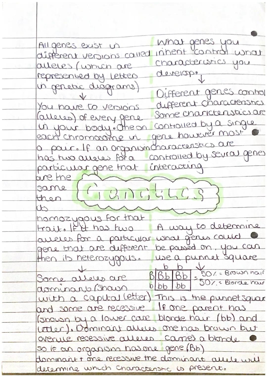 <h2 id="geneticsandallelesingeneticdiagramsgcsebiology">Genetics and Alleles in Genetic Diagrams GCSE Biology</h2>
<p>In genetics, genes exi