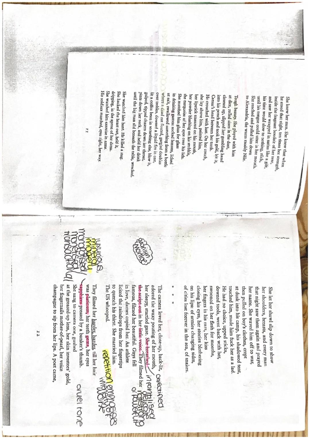 FORM
-3rd person
-Past Tense
Autobiographical
* evidence *
covering up
identity.
mop metaphor
sname felt by
identity
Mirrors
red
cloaks worn