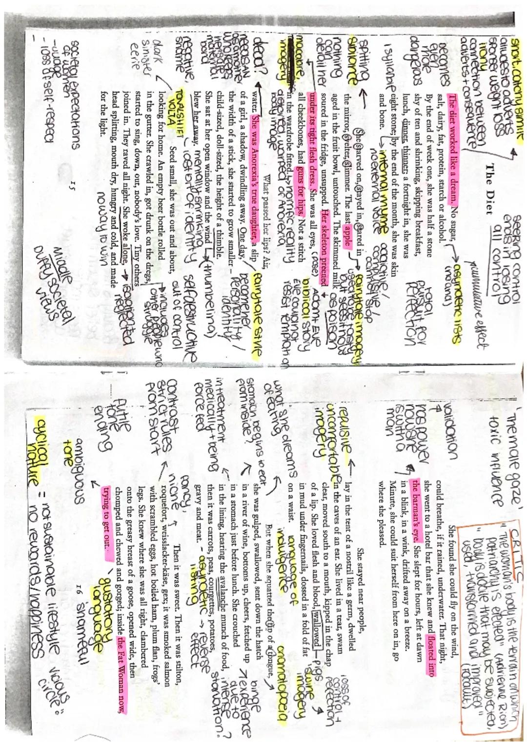 FORM
-3rd person
-Past Tense
Autobiographical
* evidence *
covering up
identity.
mop metaphor
sname felt by
identity
Mirrors
red
cloaks worn