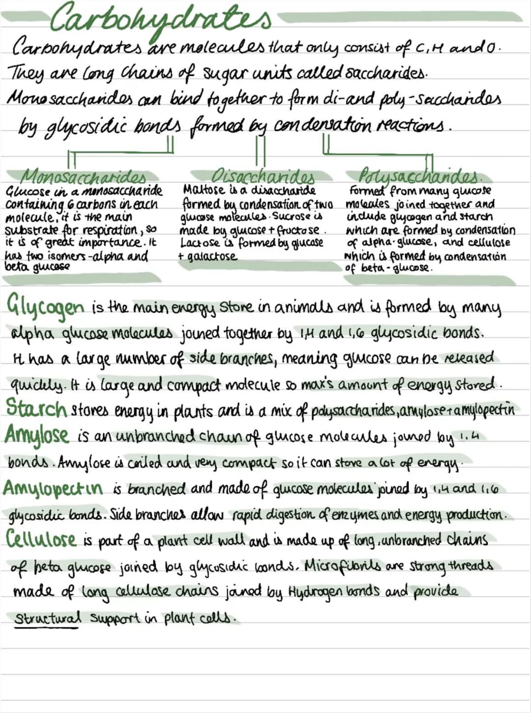 OCR Biology Revision Notes
BIOLOGICAL MOLECULES
Water
Water is a polar molecule due to an uneven
distribution of charge within the molecule 