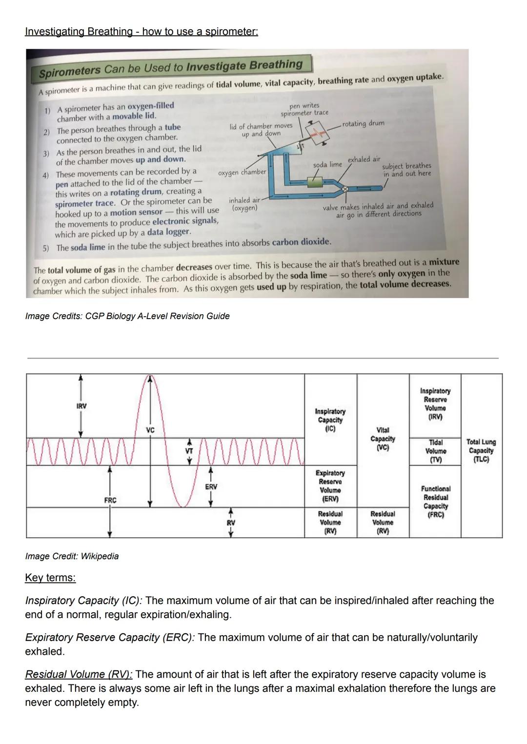 Ventilation:
The rib cage, intercostal muscles and diaphragm all work together to move air into and out of the
lungs, where gas exchange occ