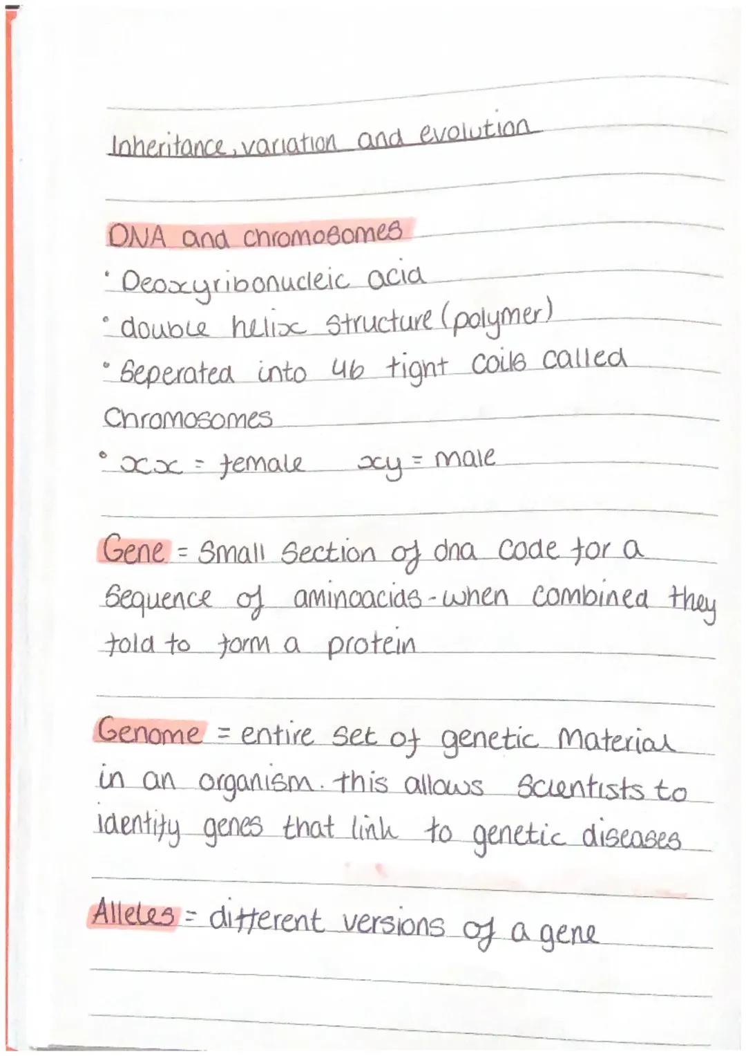 AQA Biology: Inheritance, Variation, and Evolution - Full Topic Notes, Exam Questions & Mendel's Discoveries