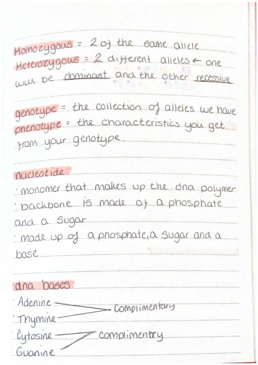 Inheritance, variation and evolution
DNA and chromosomes.
• Deoxyribonucleic acid
• double helix structure (polymer)
Seperated into 46 tight