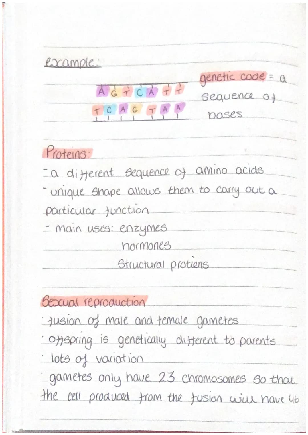 Inheritance, variation and evolution
DNA and chromosomes.
• Deoxyribonucleic acid
• double helix structure (polymer)
Seperated into 46 tight