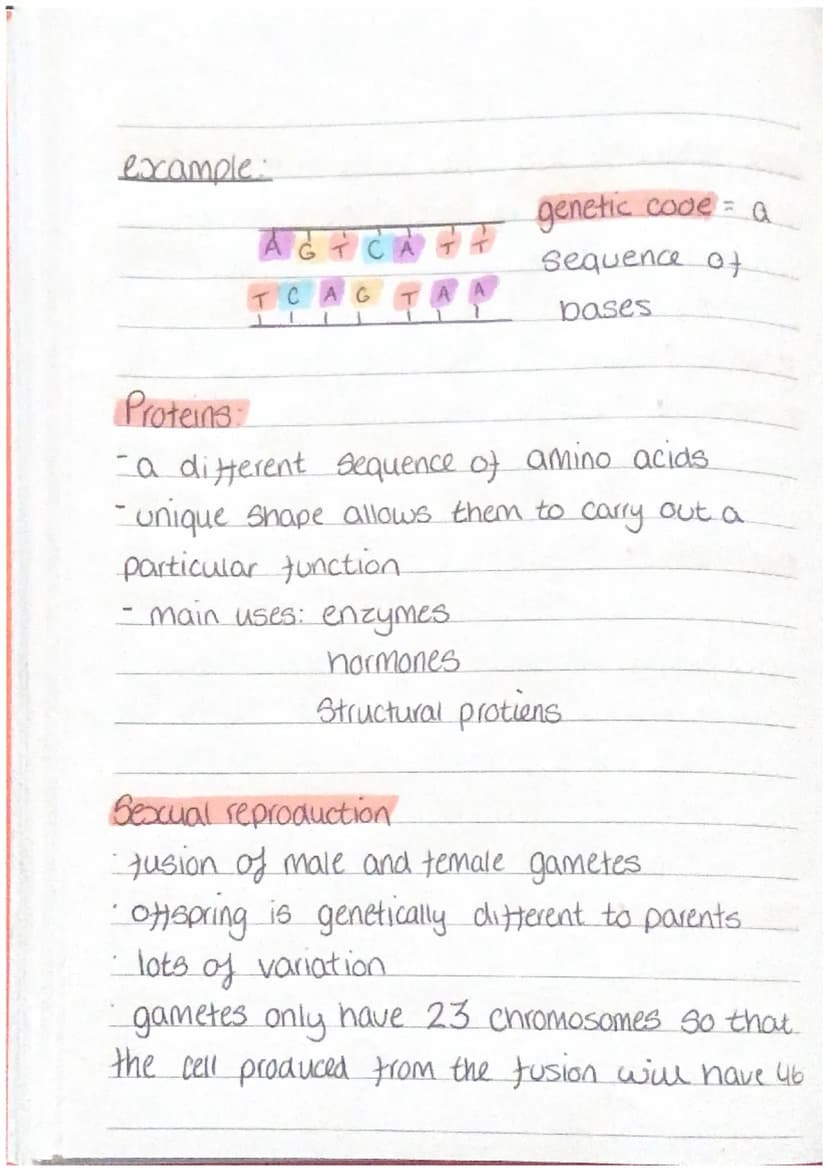 Inheritance, variation and evolution
DNA and chromosomes.
• Deoxyribonucleic acid
• double helix structure (polymer)
Seperated into 46 tight