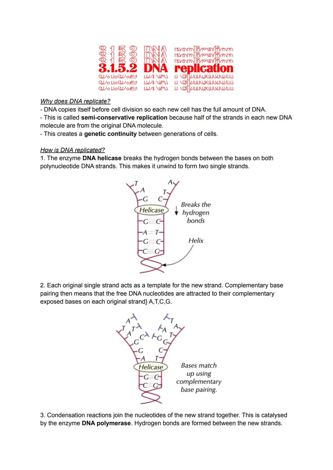 ****
RERERELO
DNA onlication
DNA Onlicatiom
DNA manlication
3.1.5.2 DNA replication
WolloWoe DINA
WolloWok DINA
WolloWok
и ошосеUNULL
и сушU