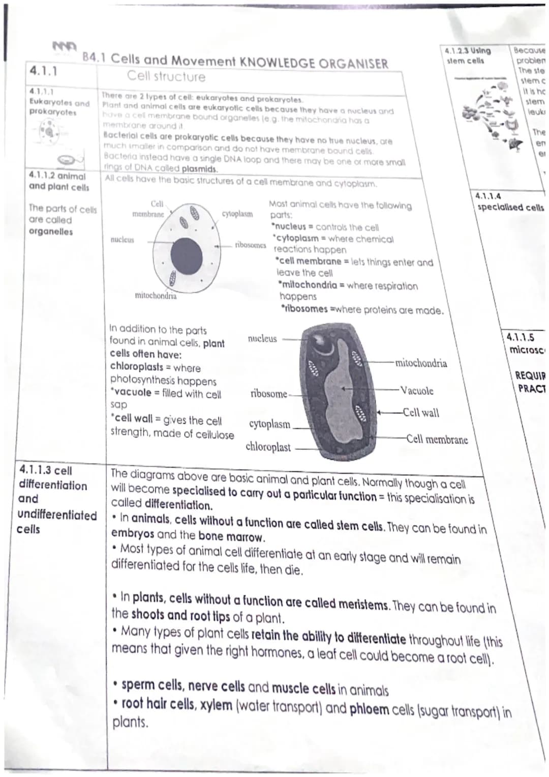 MNA
4.1.1
4.1.1.1
Eukaryotes and
prokaryotes
B4.1 Cells and Movement KNOWLEDGE ORGANISER
Cell structure
There are 2 types of cell: eukaryote