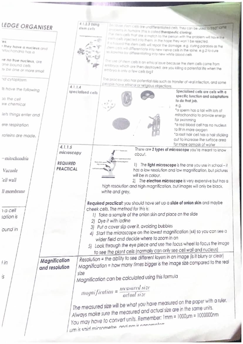MNA
4.1.1
4.1.1.1
Eukaryotes and
prokaryotes
B4.1 Cells and Movement KNOWLEDGE ORGANISER
Cell structure
There are 2 types of cell: eukaryote