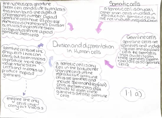 Know higher human biology Unit 1(a,b,c) thumbnail