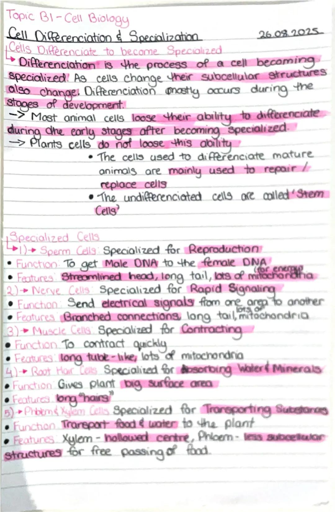 Topic Bl-Cell Biology
Cells
Cells are the building blocks of all living organisms.
There are 2 types of cells - Prokaryotic and
Eukaryotic
•