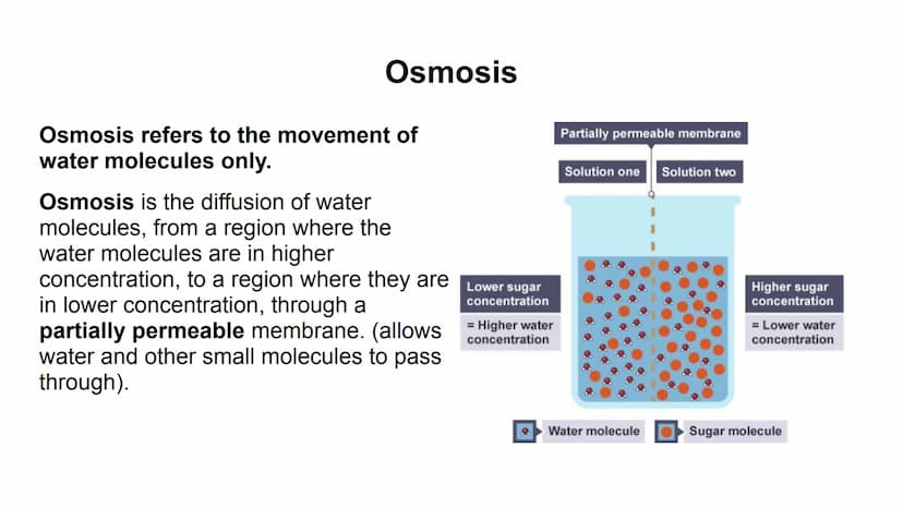 Process
Diffusion
Osmosis
Active transport
Descriptions
Substances move from Carbon dioxide,
oxygen, water, food
substances, wastes
a high t
