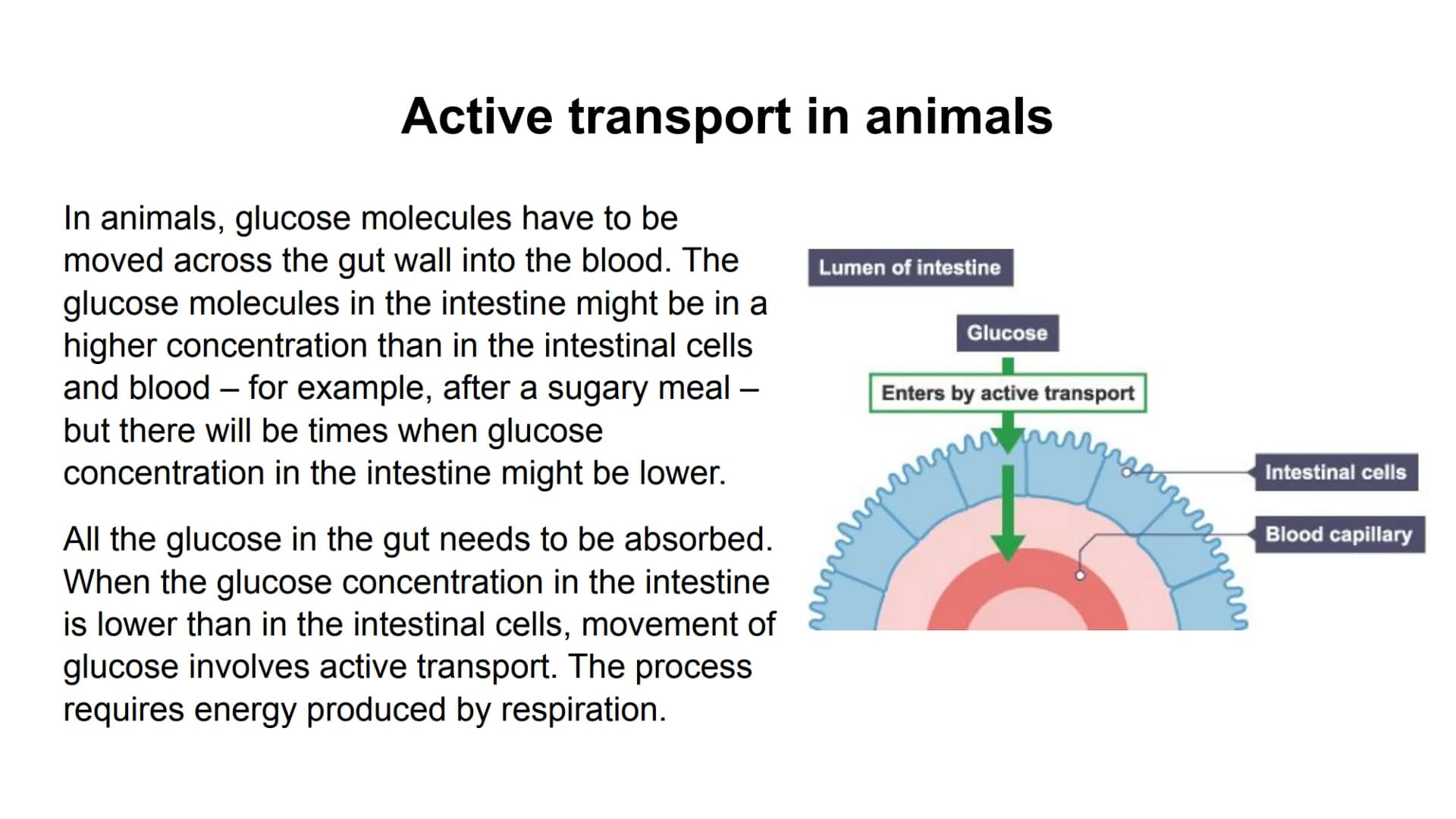 Process
Diffusion
Osmosis
Active transport
Descriptions
Substances move from Carbon dioxide,
oxygen, water, food
substances, wastes
a high t