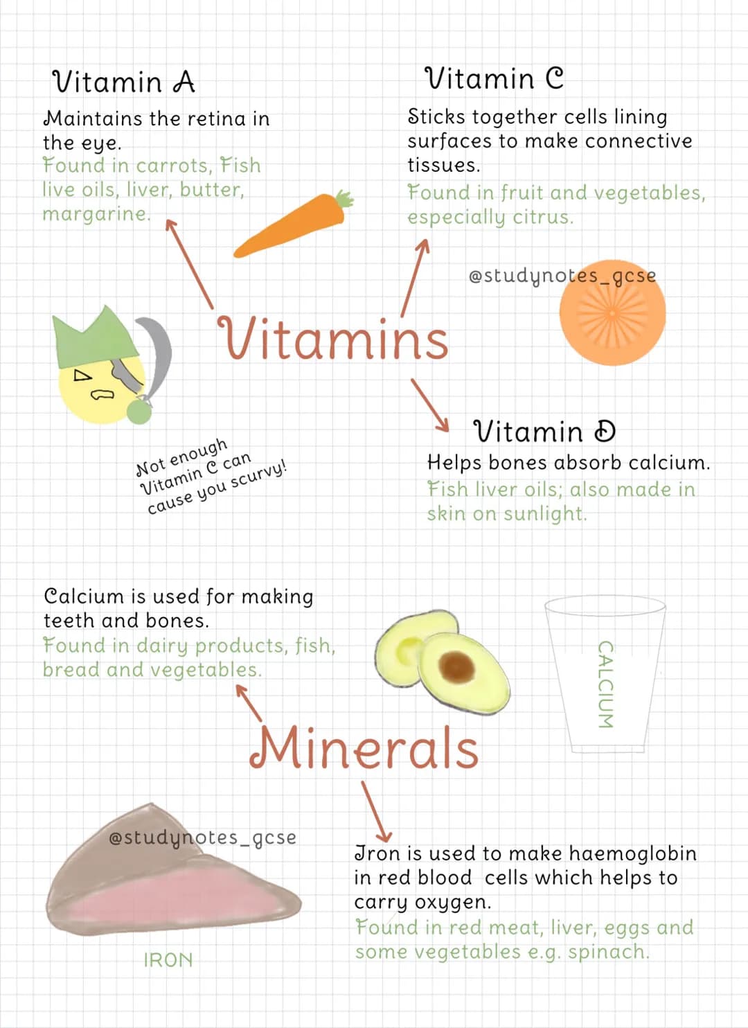 Vitamin A
Maintains the retina in
the eye.
Found in carrots, Fish
live oils, liver, butter,
margarine.
Not enough
Vitamin C can
cause you sc