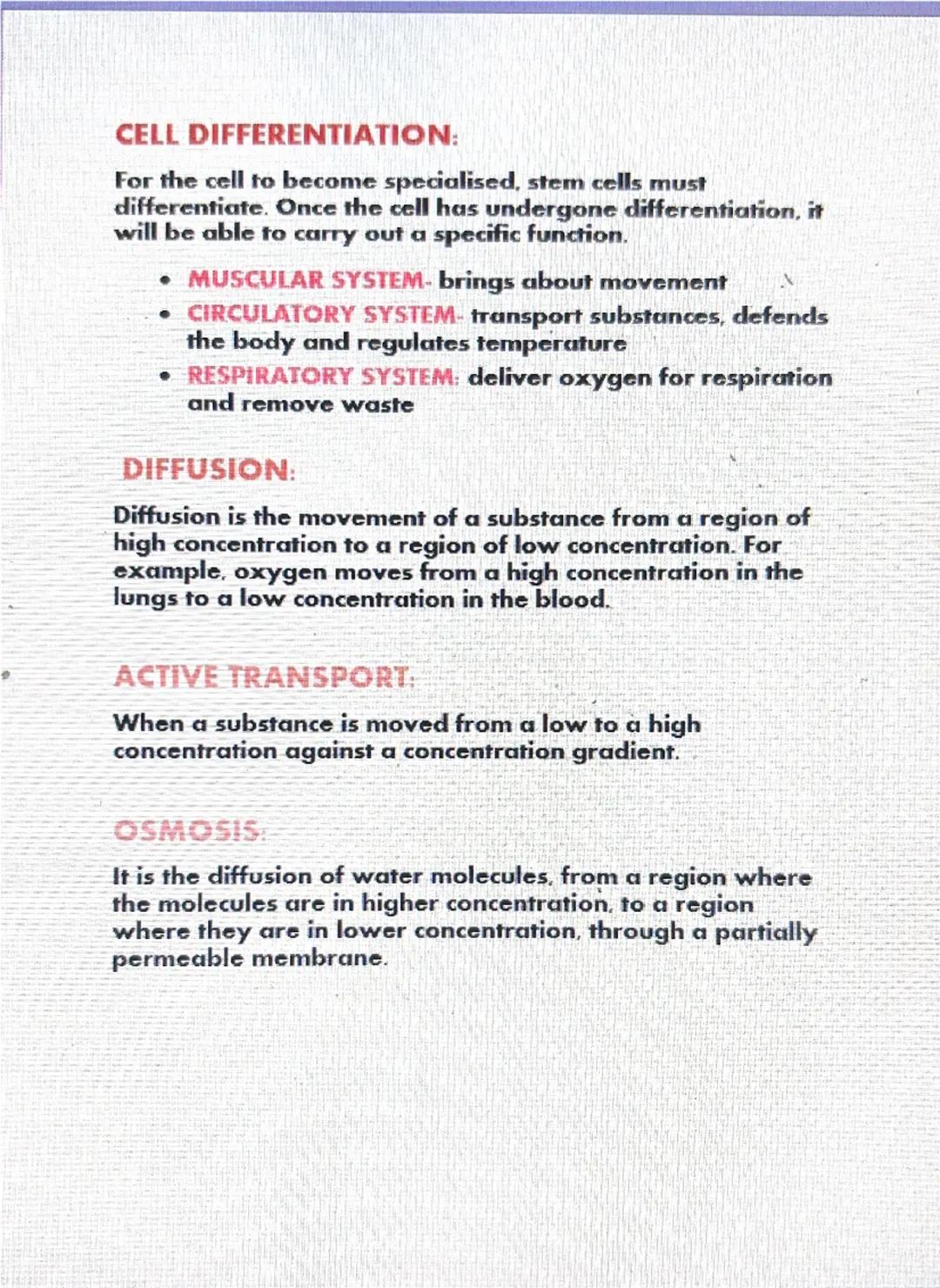 BIOLOGY CELLS
PROKARYOTIC CELLS:
. Bacterial cells
. No nucleus
⚫ DNA is in the cytoplasm
TYPICAL BACTERIAL CELL
CELL
MEMBRANE
CELL WALL MAD