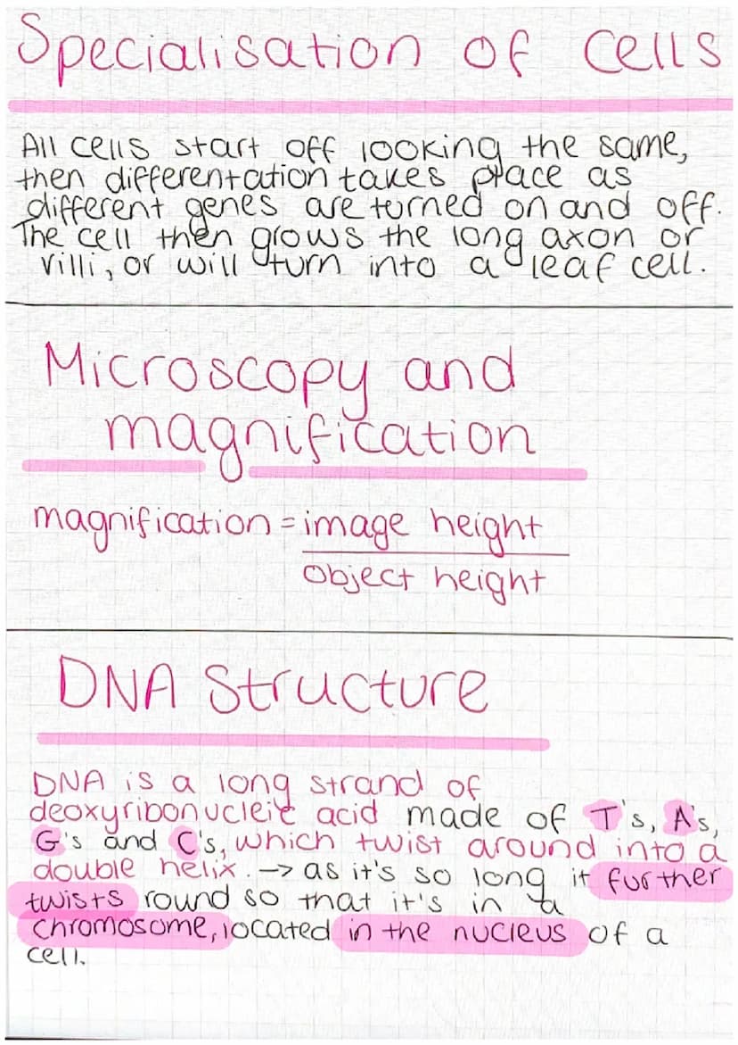Animal Cell
nucleus-controls the activities of the cell
and contains genetic material
cytoplasm - most chemical reactions take
Place
cell me
