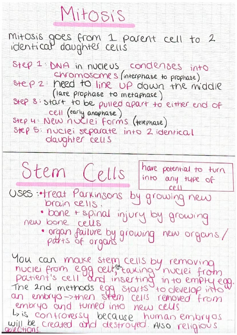 Animal Cell
nucleus-controls the activities of the cell
and contains genetic material
cytoplasm - most chemical reactions take
Place
cell me