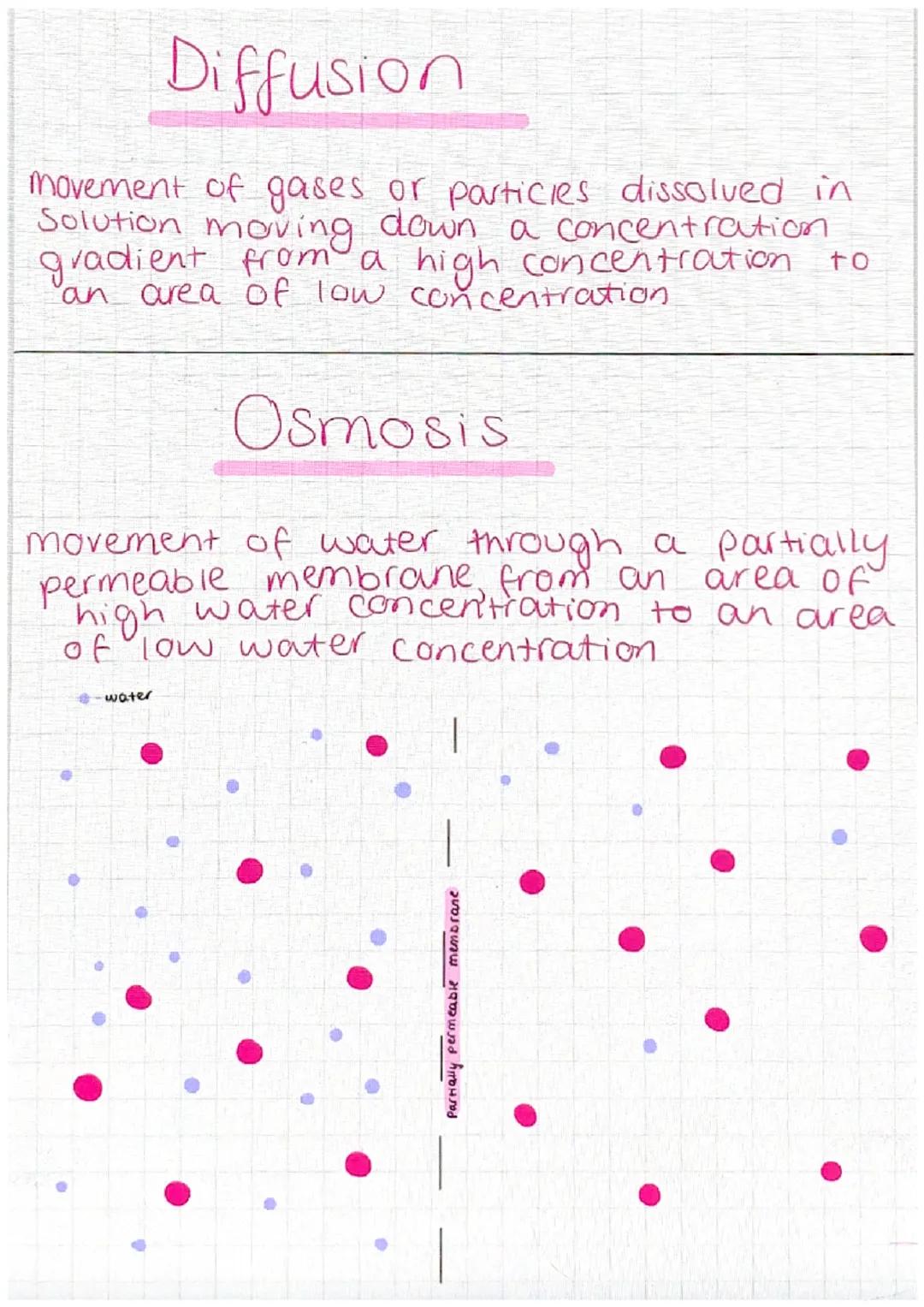 Simply explained: Your Easy Guide to AQA GCSE Combined Science Biology ...